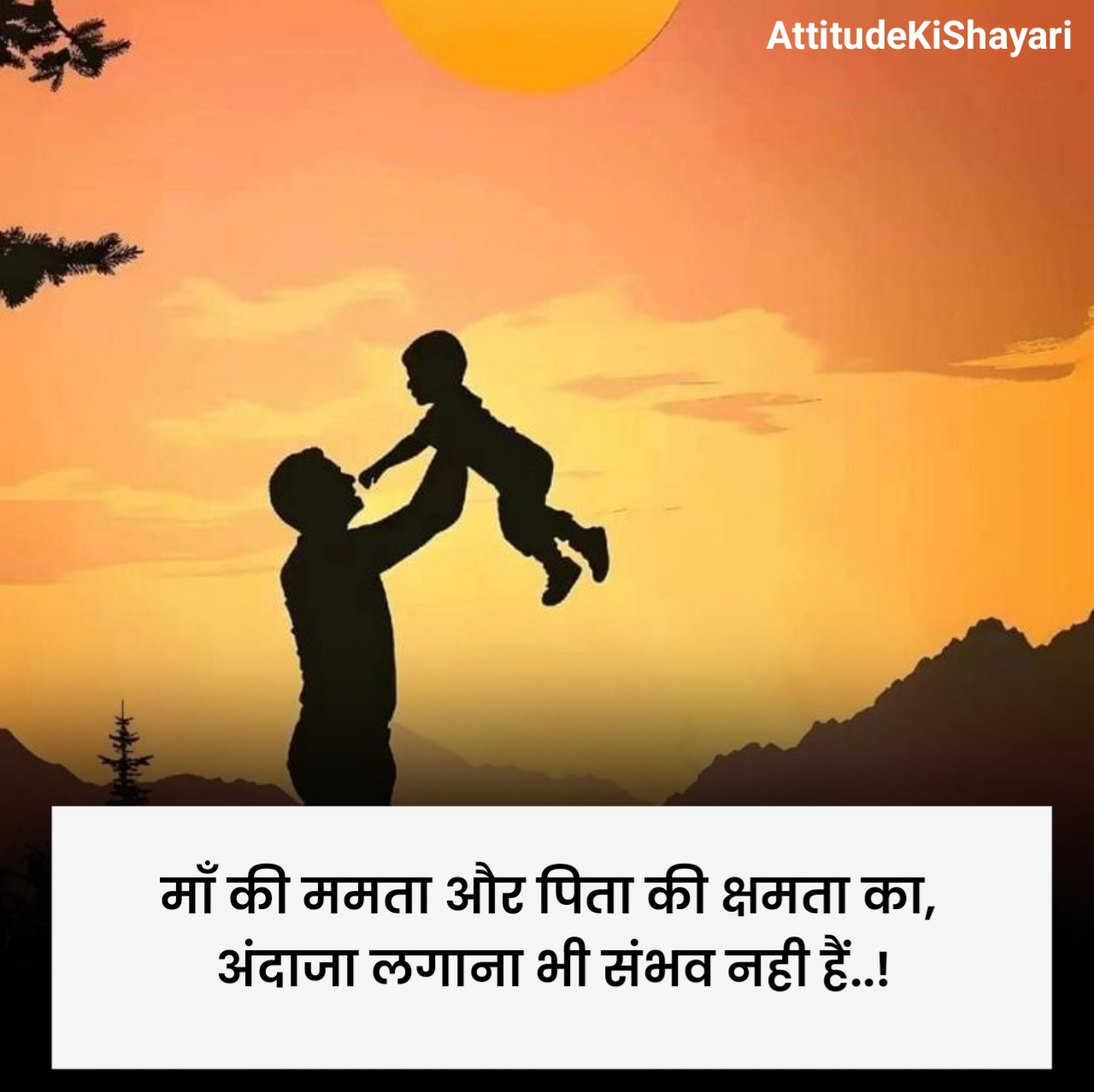 Papa Shayari in Hindi 2 Line