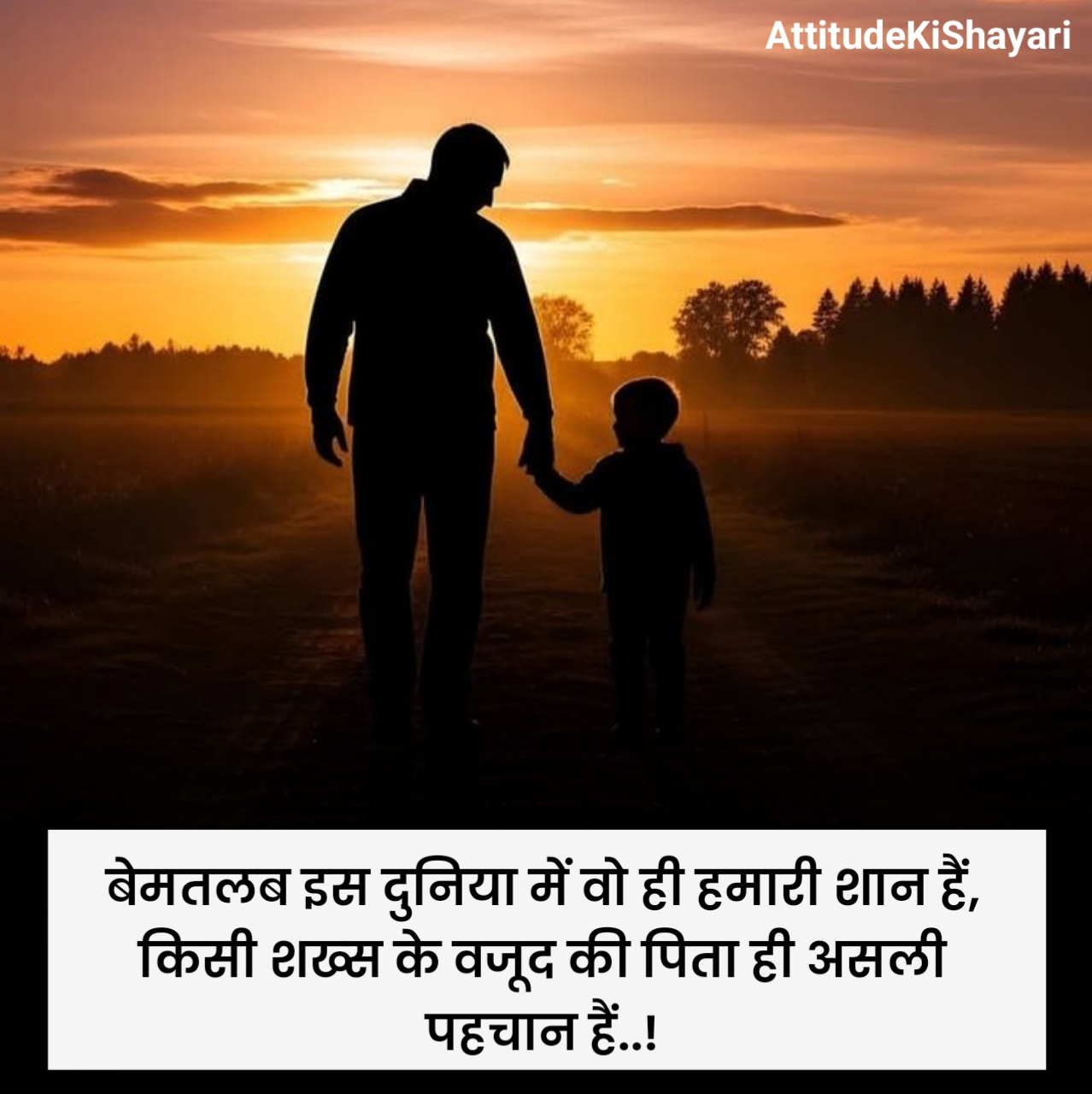 Papa Shayari in Hindi